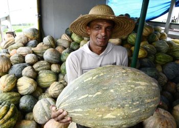 Balcão de Agronegócios fortalece a venda de produtos regionais