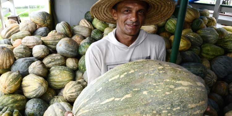 Balcão de Agronegócios fortalece a venda de produtos regionais