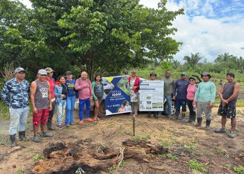 Idam inicia implantação três unidades demonstrativas de mandioca