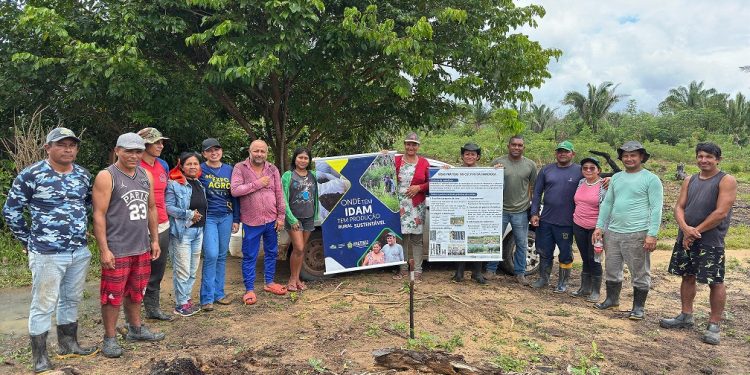 Idam inicia implantação três unidades demonstrativas de mandioca