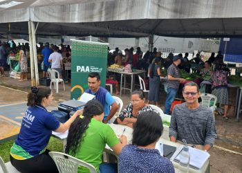 Idam registra mais de