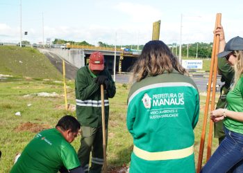 Prefeitura de Manaus planta