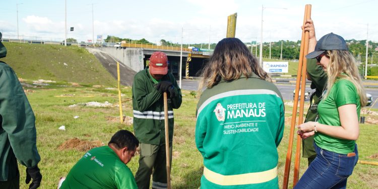 Prefeitura de Manaus planta