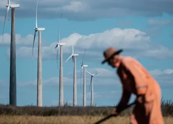 Selo biocombustível social impulsiona inclusão e sustentabilidade na produção de biodiesel