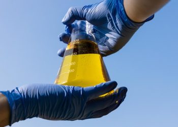 Biocombustível de coco verde ganha espaço na Transição Energética