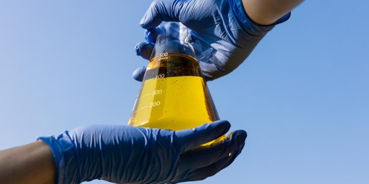 Biocombustível de coco verde ganha espaço na Transição Energética