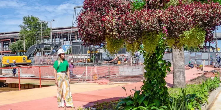 ‘Eco-Árvores’ fornecem sombra em obras da COP 30