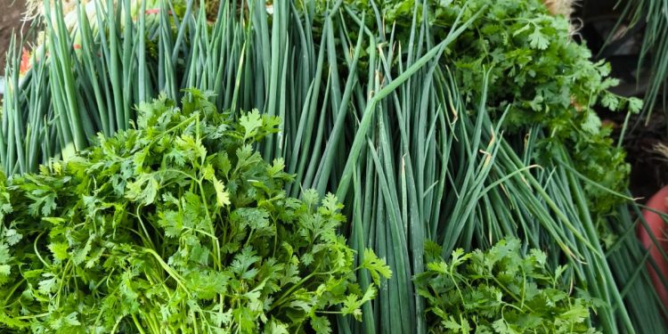 Preme atinge recorde de credenciados e beneficia agricultores de 42 municípios