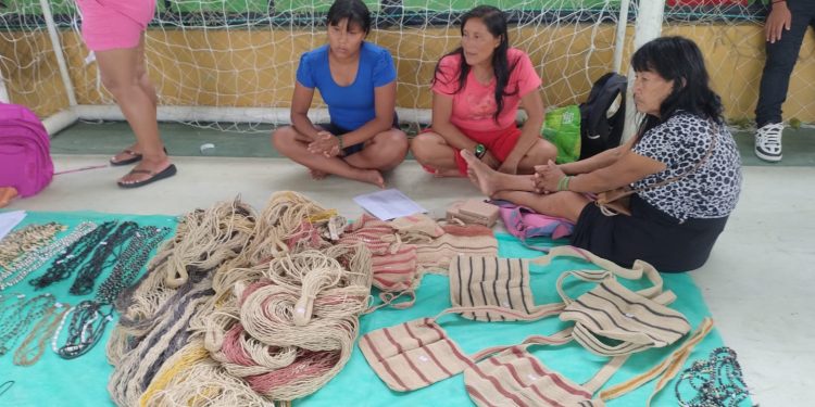 Fepiam e Sebrae promovem Rodada de Negócios para comunidades indígenas do Amazonas