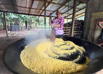 Sepror profissionaliza mais de 150 produtoras rurais