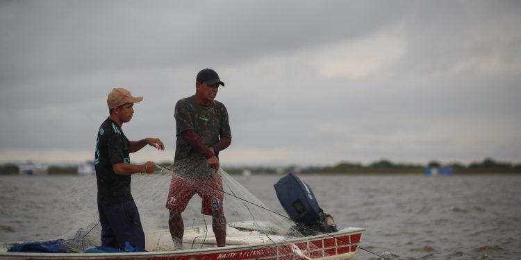 Idam alerta para o fim do período de defeso de oito espécies de peixes no Amazonas