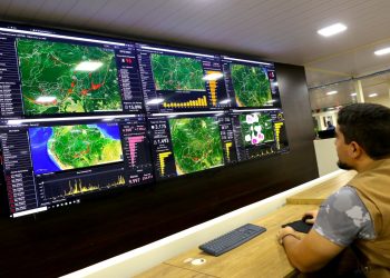 Ipaam registra redução histórica de 99,85% no desmatamento