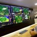 Ipaam registra redução histórica de 99,85% no desmatamento