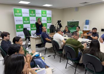 Sema Amazonas avança na primeira concessão florestal com apoio do Imaflora e do SFB