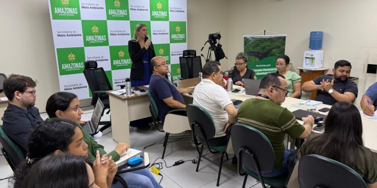 Sema Amazonas avança na primeira concessão florestal com apoio do Imaflora e do SFB