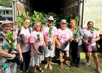 Sepror finaliza entrega 3,9 mil mudas de citros na zona rural de Manaus