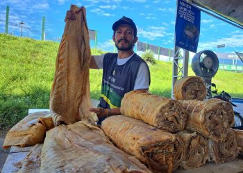 Mais de 8 toneladas de peixe são comercializadas no primeiro dia do Feirão do Pescado