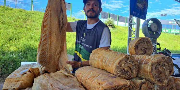 Mais de 8 toneladas de peixe são comercializadas no primeiro dia do Feirão do Pescado