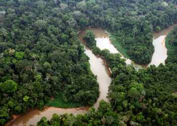 Como a Transição Energética pode transformar a Amazônia