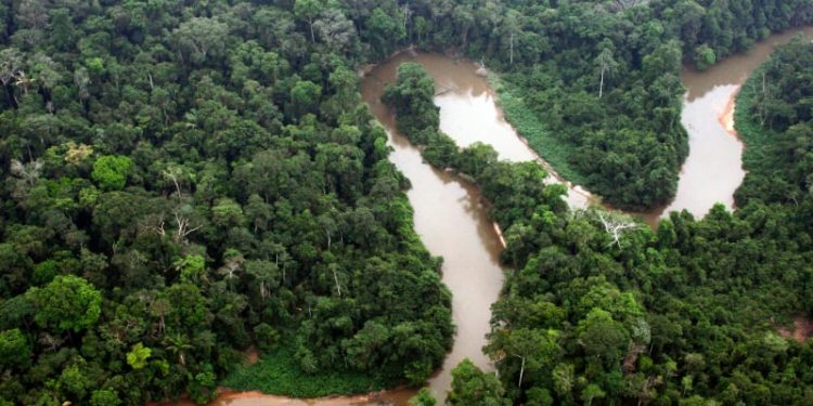 Como a Transição Energética pode transformar a Amazônia