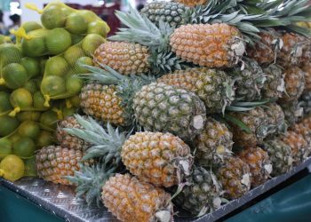 ADS realiza primeira edição Especial de Feiras de Produtos Regionais