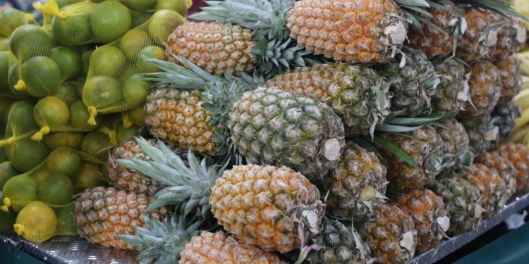 ADS realiza primeira edição Especial de Feiras de Produtos Regionais