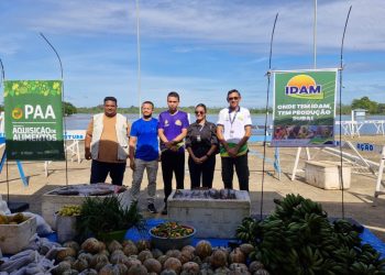 Toneladas de alimentos produzidos