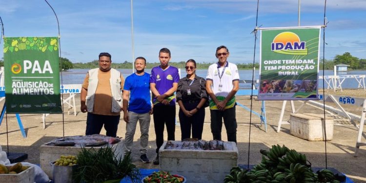 Toneladas de alimentos produzidos