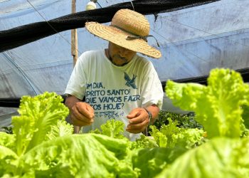 Idam divulga requisitos para enquadramento na categoria de Agricultor Familiar
