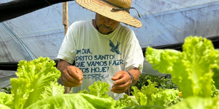 Idam divulga requisitos para enquadramento na categoria de Agricultor Familiar