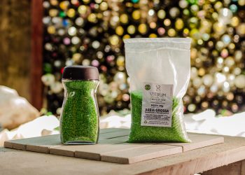 Negócio de impacto transforma cadeia de reciclagem de vidro no Amapá