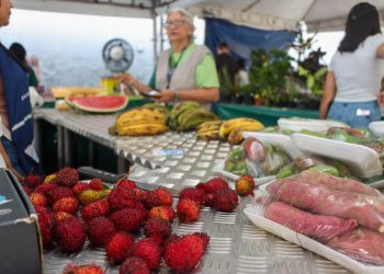 Em parceria com a ADS, Sedecti realiza primeira edição da feira de produtos regionais