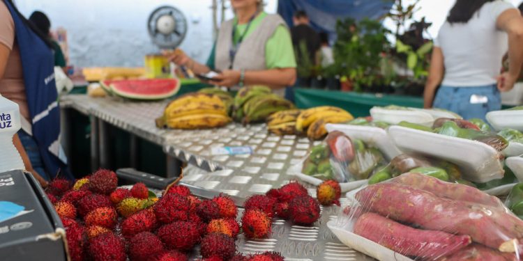 Em parceria com a ADS, Sedecti realiza primeira edição da feira de produtos regionais