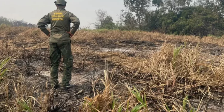 Brasil reduz 70% da área queimada no primeiro trimestre de 2025
