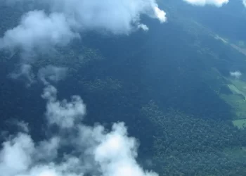 Petrobras destina R$ 450 milhões para preservar a Amazônia com créditos de carbono