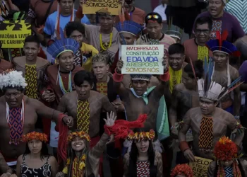 Comissão internacional indígena vai participar de negociações da COP30