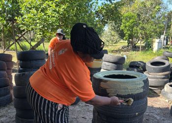 Prefeitura de Manaus transforma lixeiras em jardins e promove educação ambiental