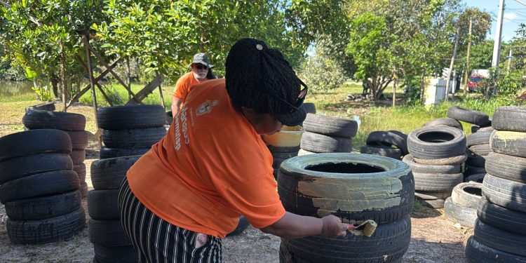 Prefeitura de Manaus transforma lixeiras em jardins e promove educação ambiental