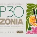 Amazônia e a Transição Energética: FITEA aponta caminhos sustentáveis para a COP30