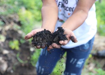 Sepror divulga Plano Estadual de Agroecologia e Produção Orgânica do Amazonas para consulta pública