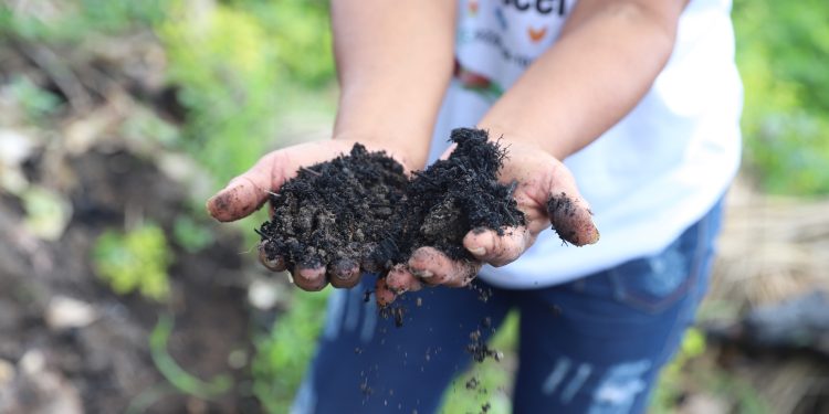 Sepror divulga Plano Estadual de Agroecologia e Produção Orgânica do Amazonas para consulta pública