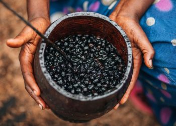 Parceria entre SENAI-SC e MIT