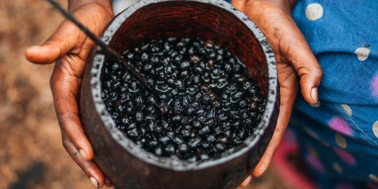 Parceria entre SENAI-SC e MIT