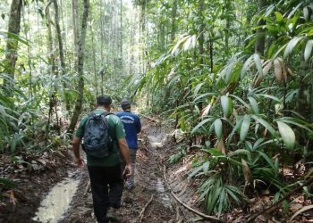 Parceria entre SENAI-SC e MIT