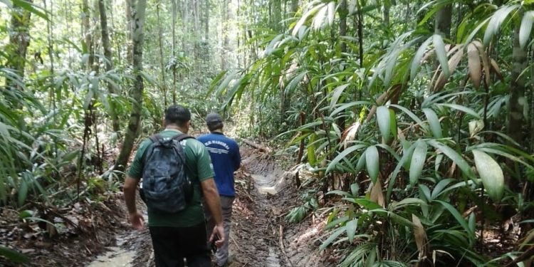 Parceria entre SENAI-SC e MIT