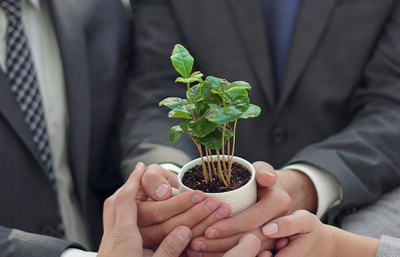 Pacto Global Lança HUB ODS no estado do Pará, evento visa o alcance de empresas e a COP30