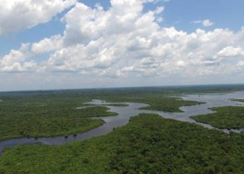 Amazônia e transição energética: Oportunidades para um modelo de desenvolvimento verde