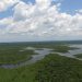 Amazônia e transição energética: Oportunidades para um modelo de desenvolvimento verde