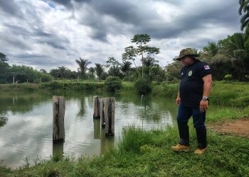 Acompanhamento técnico impulsiona piscicultura em Iranduba