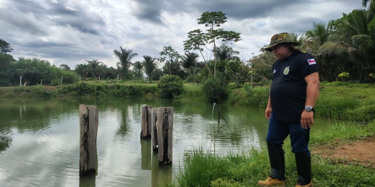 Acompanhamento técnico impulsiona piscicultura em Iranduba